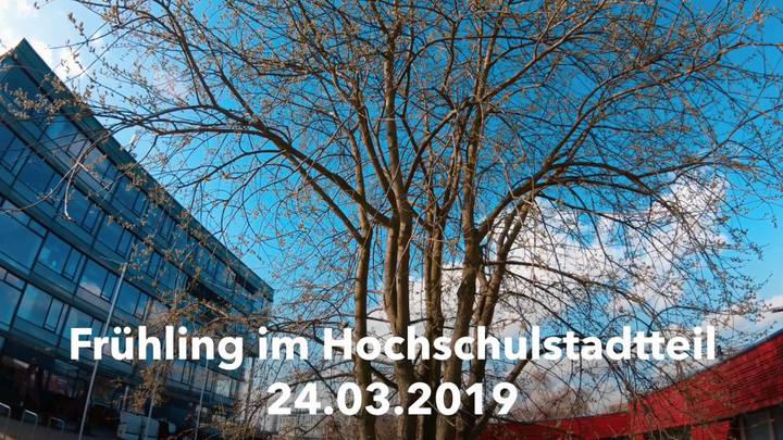 Frühling 2019 im Hochschulstadtteil Lübeck